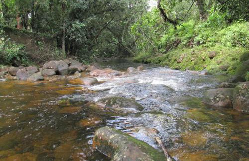 Refúgio dos Valdenses - Photo 18