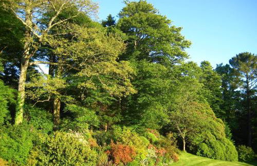 Isolda's - Ukc3905 - Photo 17