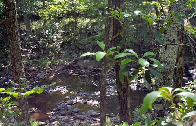 Rosies Creekside Retreat - 3 BR Escape! - Foto 53