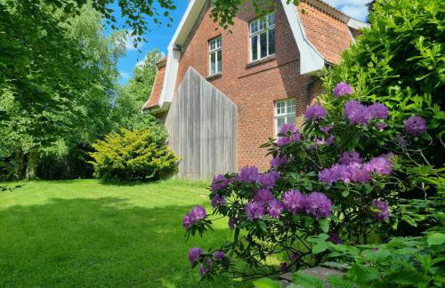 Ferienhaus Hilgenhuus - Foto 13