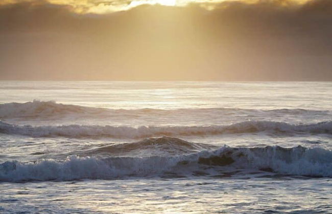 Langley Park Apartments - Photo 51