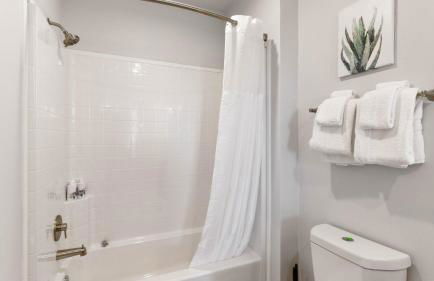 Luxury 1 Bedroom 1Bath Convention Center - Foto 12