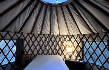 Private Glamping Getaway in the Redwoods near Santa Cruz, California - Foto 7