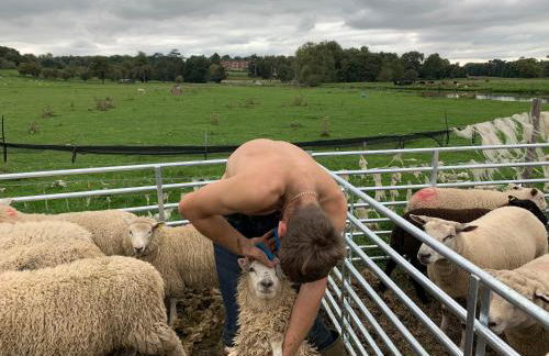 Hertford farm Woodland cabin pet friendly firepit bbq - Foto 33