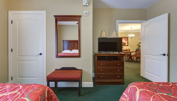 City Bear - Foto 5, Habitación