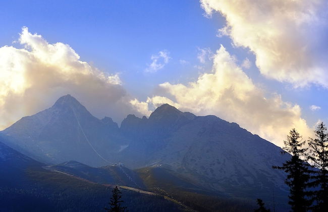 panoraMic Mountain Residence - Photo 23