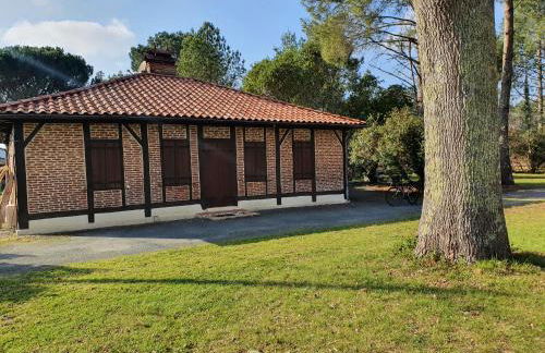 Les Rives du Lac de Léon - Foto 13