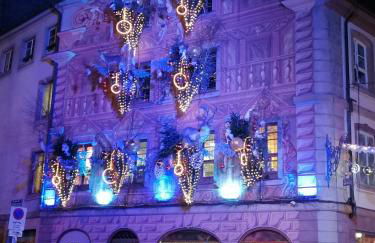 Entre 2 Rives Strasbourg-Kehl - Foto 5