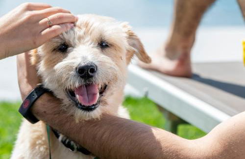 Agriturismo Ca' del Lago - Photo 31