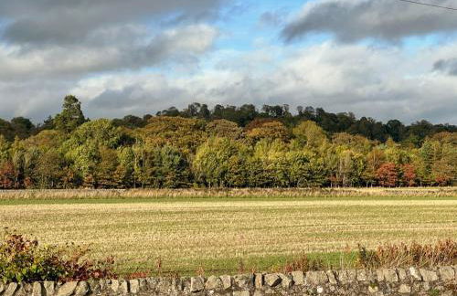 Denburn Cottage - Foto 16