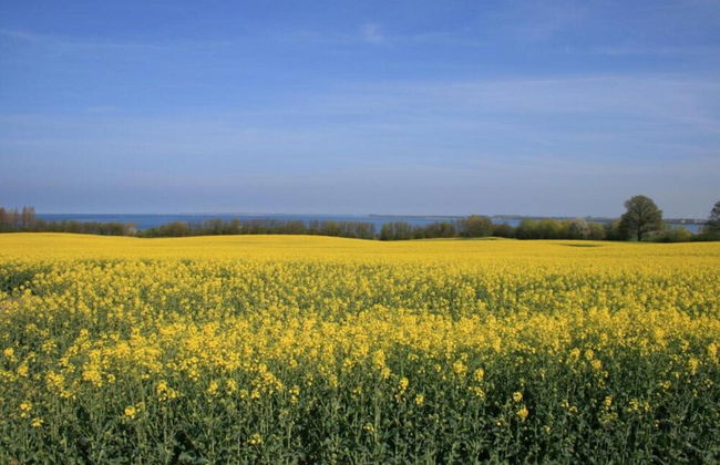 Gemuetliche Wohnung in Kluetz mit Garten - Foto 18