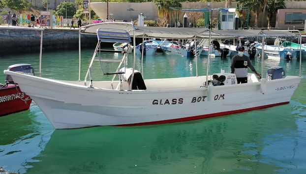 Cabo San Lucas Boat Trip & Snorkelling - Foto 4