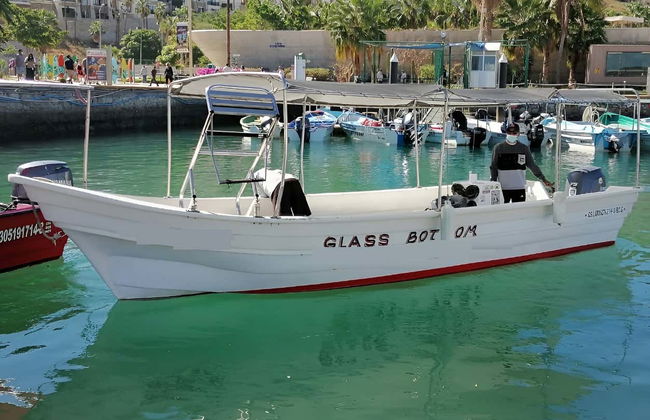 Cabo San Lucas Boat Trip & Snorkelling - Photo 4