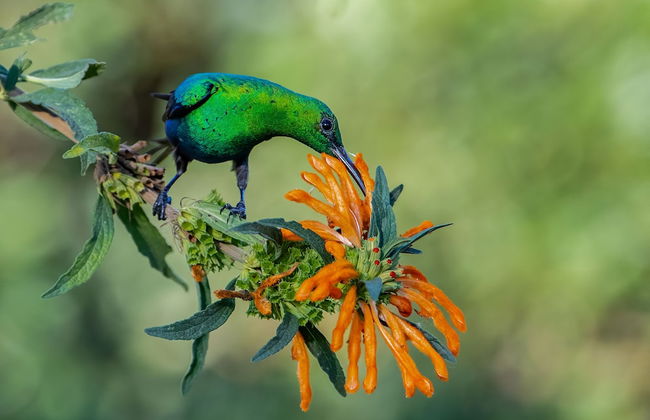 Sanddrif Guest Farm - Foto 33