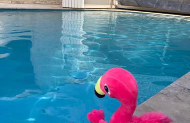 Les Bougainvillées de Camargue - Photo 51