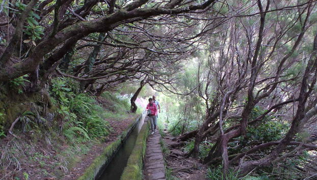 Profitez du parcours de randonnée