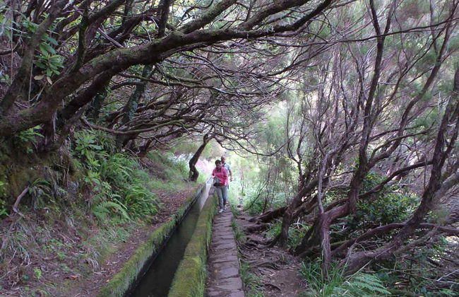Cabo Girão & Rabaçal Offroad Day Trip - Photo 4