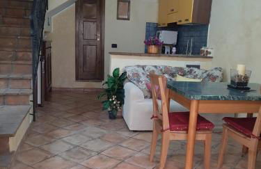 Il Gallo d' Oro - Scoiattolo - Foto 9