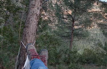 Casas Rurales El Portillo - Foto 51