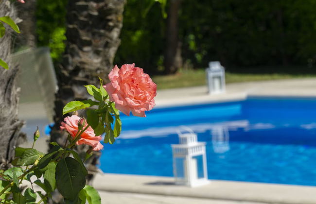 Wonder Vesuvian Villa - Photo 19