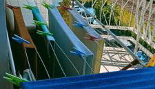 Blue A'Mare - Foto 5