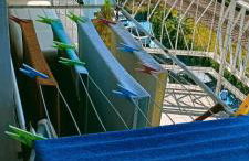 Blue A'Mare - Foto 5