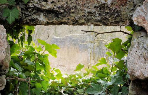 FeWo Die Dittrichs - Foto 22