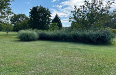 Hameau du Soleil - Papillon - Foto 46