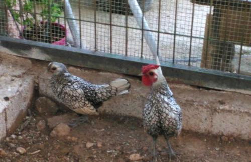 Alojamientos Rurales la Loma - Foto 42