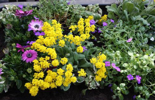 Ferienwohnung Bacharach - Photo 15