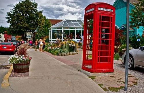 Sweet Cherry "Coral Shutter" - Foto 13