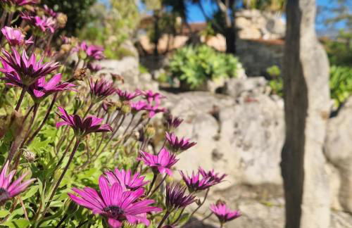 Villa Pedra Natural Houses - Foto 16