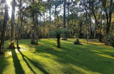 Fantástico Flat no Laje de Pedra Mountain Village - Foto 48