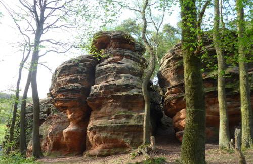 Eifelhaus4you - Foto 50