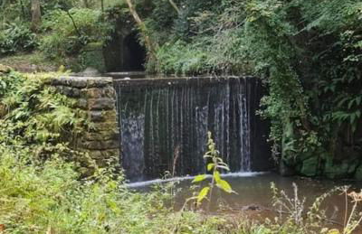 Mad Alice's Cottage, Saltburn - Foto 18
