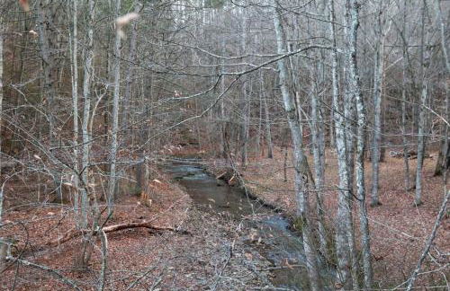 Mountain Lodge - Heated Pool 83 Degrees - Photo 37