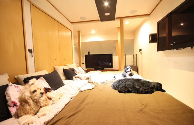 Sapporo Dome Front House - Photo 1