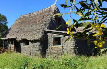 Casas Karen - Foto 25