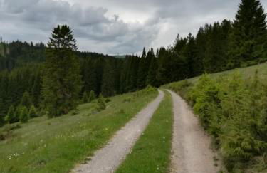 Ferienwohnung Hasenfratz - Foto 37