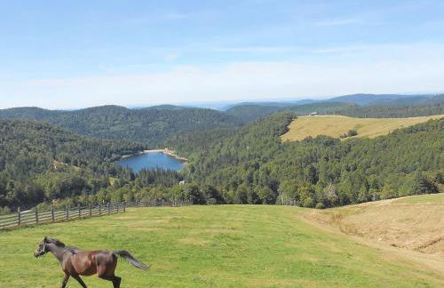 Gîte chaleureux avec terrasse, proche des activités touristiques et nature des Vosges - FR-1-589-177 - Foto 6