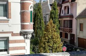 Palais des sources - Foto 17