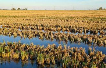 Lo de Joel - Foto 17