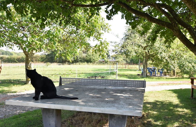 Charming Apartment in Pugholz Near Sea - Photo 17