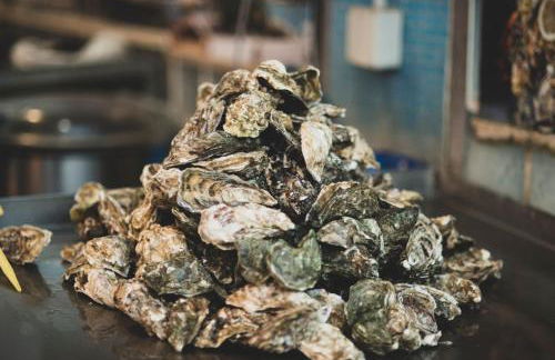 Donna Sofia House - Foto 41