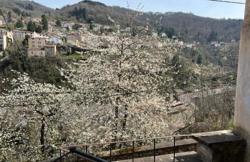 TABI APPART ,MODERN CHIC vs FREE PARKING,WIFI,DRAPS - Foto 43