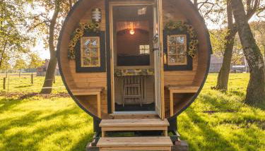 Fass Sonnenblume - Kuhle Auszeit - Foto 2