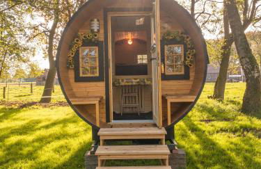 Kuhle Auszeit - Fass Sonnenblume - Foto 2