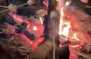 Refúgio Natureza - Lazer completo para sua família - Foto 50