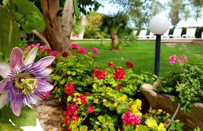 Villa Gina - Torre San Giovanni - Foto 2