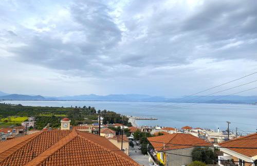 Ivory Apartment - Photo 1